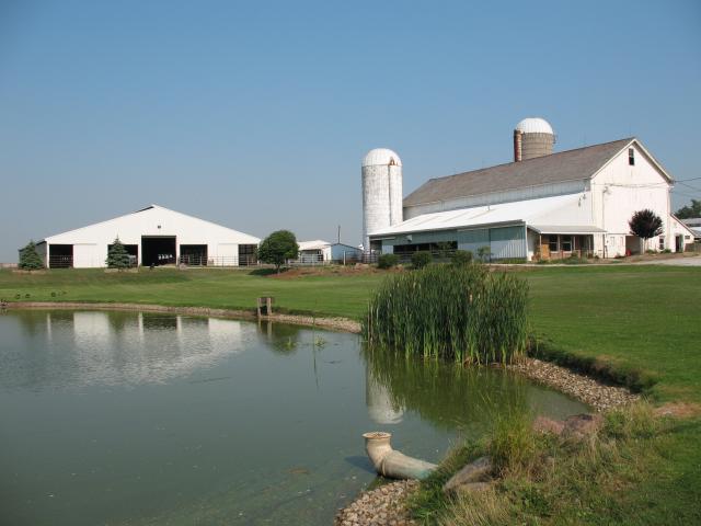 Corbett's Farm view from pond3