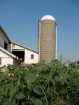 Corbett's Farm silo