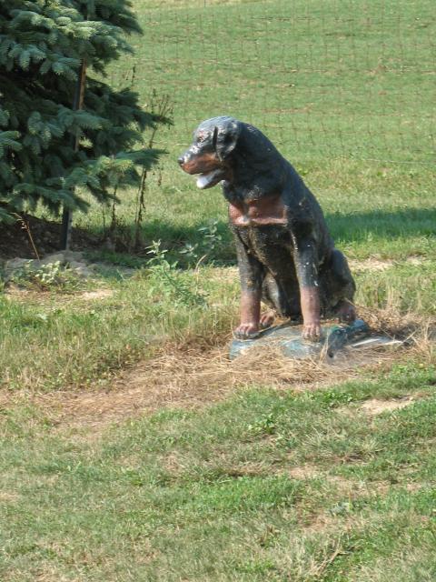 Corbett's Farm dog statue2