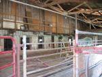 Corbett's Farm inside of livestock building1