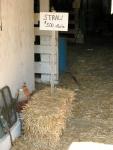Corbett's Farm straw barn5 bale