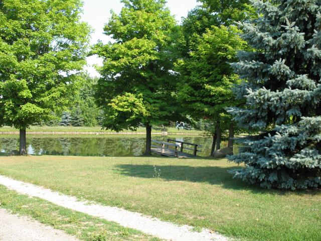 Corbett's Farm picnic area in back pond