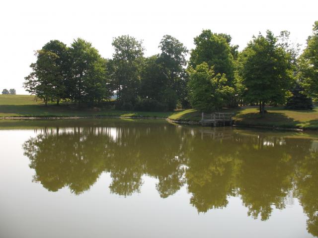 Corbett's Farm back pond