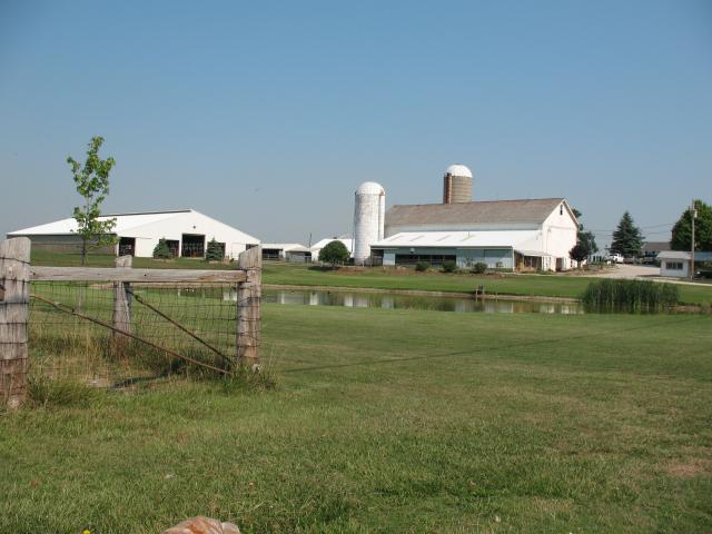Corbett's Farm pond view